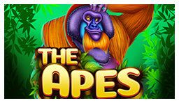 The Apes