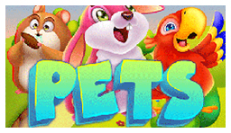 Pets