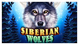 Siberian Wolves