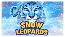 Snow Leopards