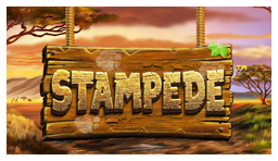 Stampede